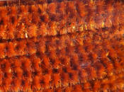 Hareline Dubbin Speckled Crystal Chenille-Copper Rust Brown