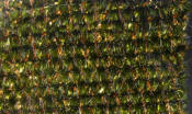 Hareline Dubbin Speckled Crystal Chenille-Gold Copper Olive