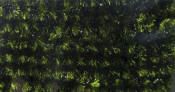 Hareline Dubbin Speckled Crystal Chenille-Black Dark Olive