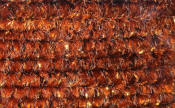 Hareline Dubbin Speckled Crystal Chenille-Copper Brown