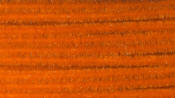 Hareline Dubbin Ultra Chenille-Burnt Orange