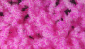 Hareline Dubbin-Wormille Chenille-Pink