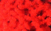 Hareline Dubbin-Wormille Chenille-Red