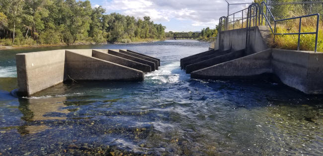 Fish Ladder On The Throp Diversion Dam On The Yakima River 