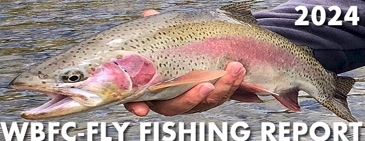Yakima River Fly Fishing Report-2024
