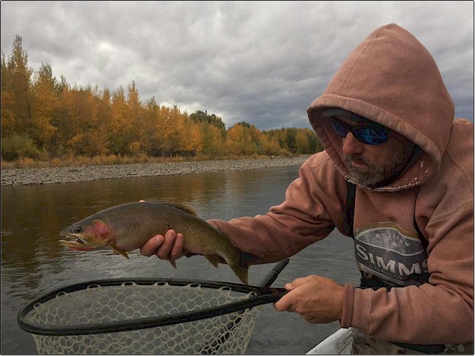 Yakima River Fall Cutty