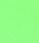 Wapsi Thin Skin-Colors-Chartreuse