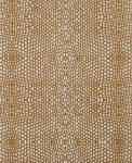 Wapsi Thin Skin-Gator-Brown Clear