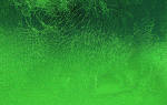 Wapsi Loco Foam-Beetle Green