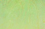 Wapsi Loco Foam-Pearl Chartreuse
