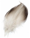 Wapsi Bronze Mallard Flank Feather