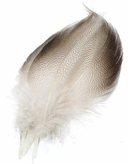Wapsi Bronze Mallard Feather