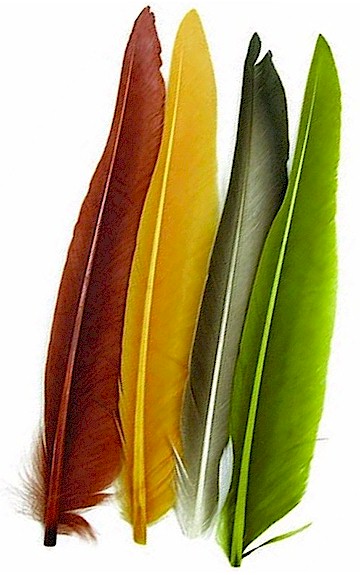 Wapsi Duck Quill-2 Matched Pairs