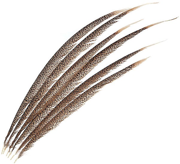 Wapsi Golden Pheasant Tail