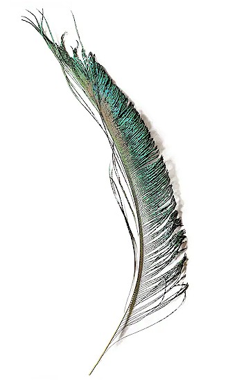Wapsi Peacock Sword