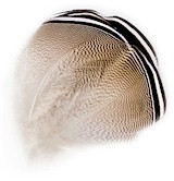 Wapsi Wood Duck Black & White Feather