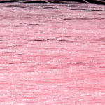 Wapsi Microlon-Pink