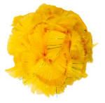 Wapsi CCT Body Fur-Fl Yellow