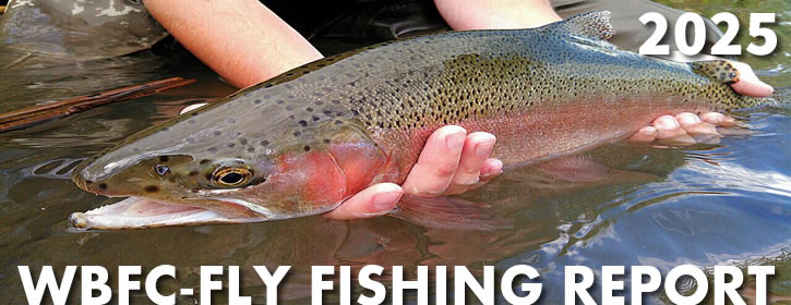 Yakima River Fly Fishing Report-2025