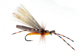 Gypsy King October Caddis