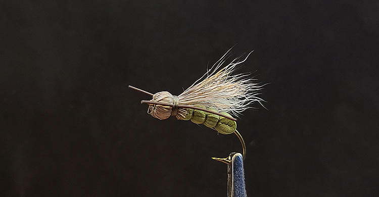 Bullethead Foam Skwala-Worley Bugger Fly Co