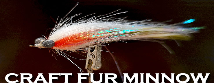 Craft Fur Minnow-Worley Bugger Fly Co.