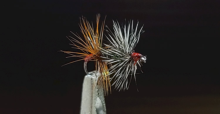 Renegade Dry Fly - 1 Dozen (12 Flies) For Trout & Freshwater Fly Fishing