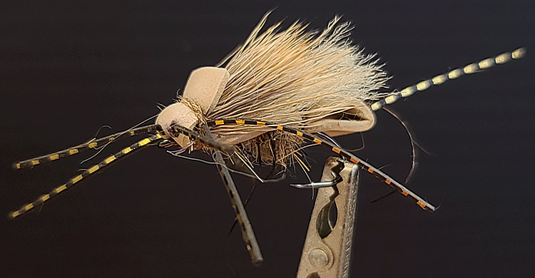The Replicant Summer Shortwing Stonefly