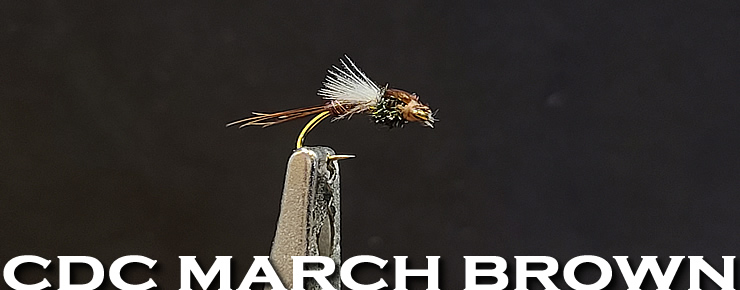 The CDC March Brown Emerger-Aron Larsen