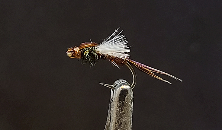 The CDC March Brown Emerger-Aron Larsen