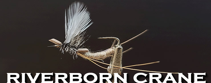 RiverBorn Cranefly-Steve Worley