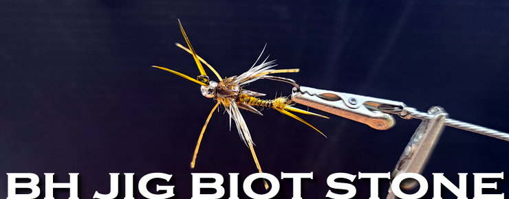 BH Jig Biot Stonefly Nymph-Skwala Version