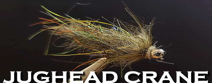 Jughead Cranefly Larva-Steve Worley