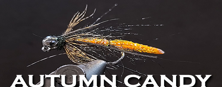 The Autumn Candy Caddis-Steve Worley-