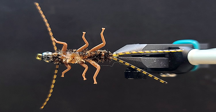 Baiter Stonefly Nymph