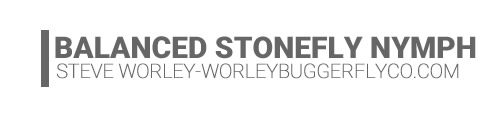 The Balanced Stonefly Nymph