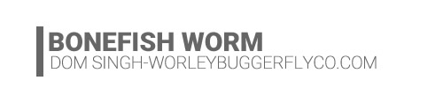 Bonefish Worm-Dom Singh