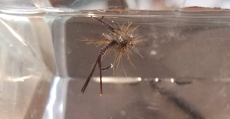The CDC March Brown Emerger Mayfly-WBFC