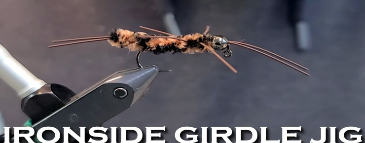 Ironside Extended Body Girdle Bug