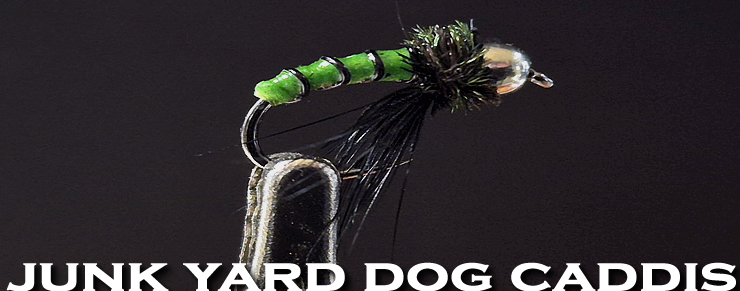 Junk Yard Dog-Caddis Worm