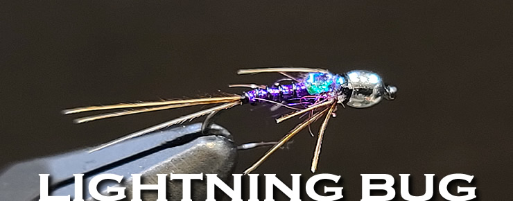 The BH Lightning Bug