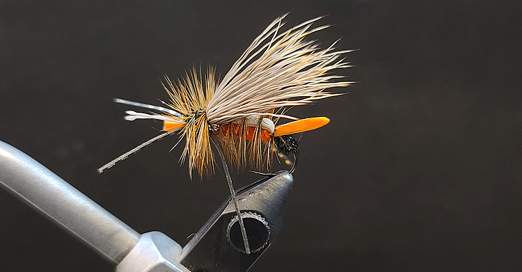 Orange Crush October Caddis