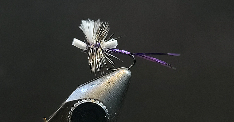 The Purple Pak Variant BWO Cripple