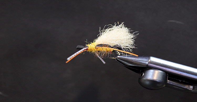 Tailgunner October Caddis Pattern-Steve Worley-WBFC