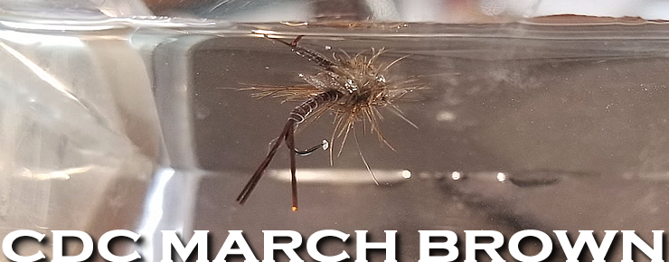 The CDC March Brown Emerger Mayfly