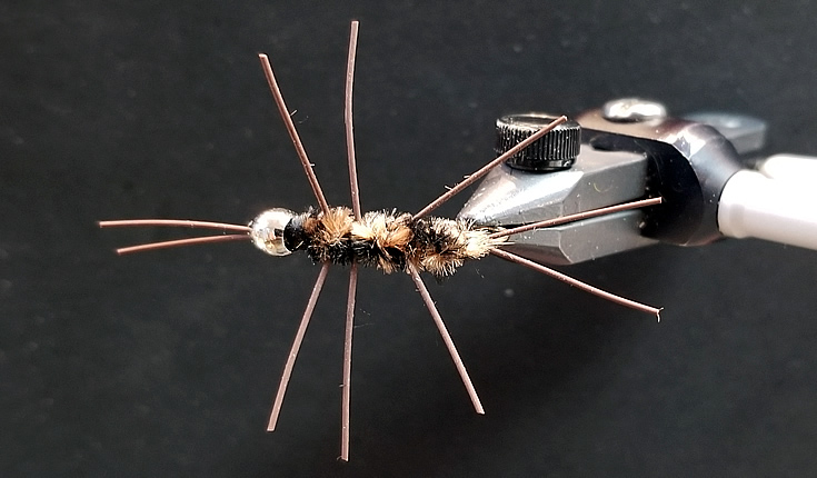 The Bead Head Girdle Bug Stonefly Nymph Pattern