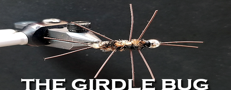 The Girdle Bug 