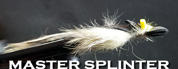 The Master Splinter Mouse Pattern