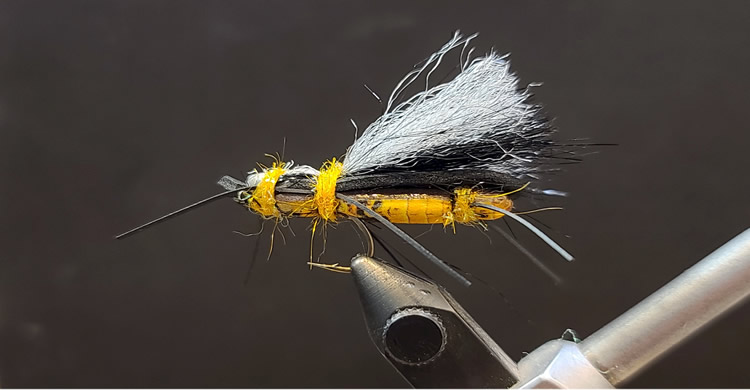 Unreal Summer Stonefly