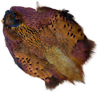 Wapsi Ringneck Pheasant Rooster Skin Chocolate Brown
